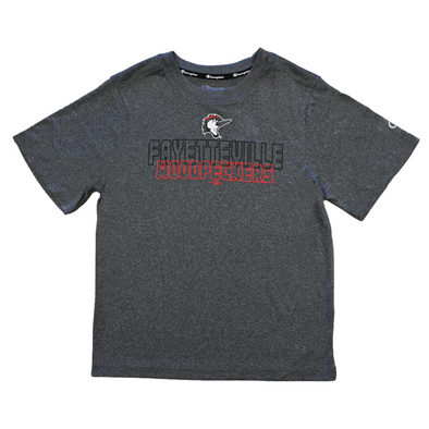 Fayetteville Woodpeckers Champion Youth Heathered Grey Impact T-shirt