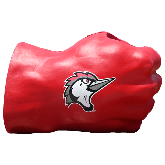 Fayetteville Woodpeckers Coopersburg Sports Fan Fist