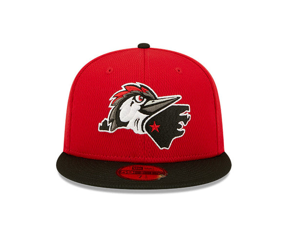 Fayetteville Woodpeckers New Era Authentic Home State Logo 59Fifty Fitted Cap