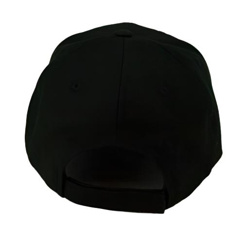 Fayetteville Woodpeckers New Era Home Cap Logo 9Forty Adjustable Cap