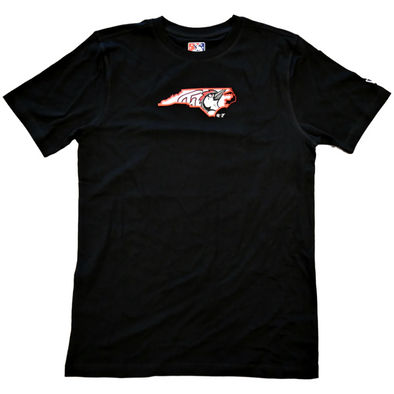 Fayetteville Woodpeckers New Era Men's State Logo T-Shirt