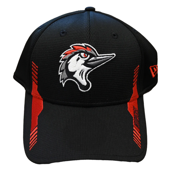Fayetteville Woodpeckers New Era Team Vize 39Thirty Flex Fit Cap