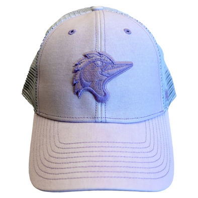 Fayetteville Woodpeckers '47 Brand Women's Haze MVP Cap