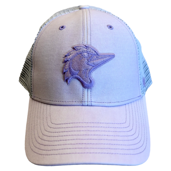 Fayetteville Woodpeckers '47 Brand Women's Haze MVP Cap