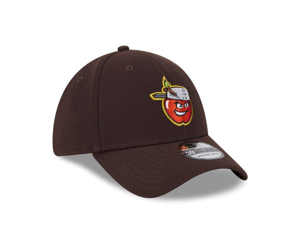 Fort Wayne TinCaps 2024 Sunday 39THIRTY Brown Cap