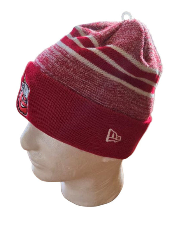 Fort Wayne TinCaps 2025 Knit Cuff Red Striped Beanie