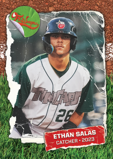 Fort Wayne TinCaps 2023 Team Expansion Pack