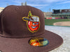 Fort Wayne TinCaps 2024 On-Field: 59FIFTY Sunday Brown Cap