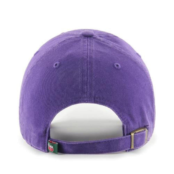 Fort Wayne TinCaps Purple Clean Up Youth Cap