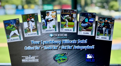 Lynchburg Hillcats 2025 Team Set