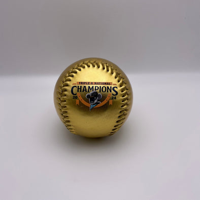 Sugar Land Space Cowboys Rawlings Ball National Champs 2024