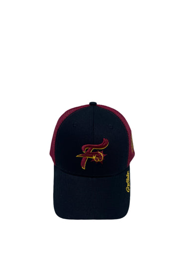 Harry Potter House Hat - Griffendor