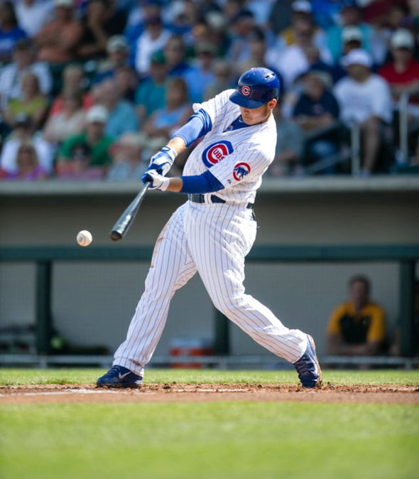 South Bend Cubs Glass Panel Anthony Rizzo 53''w x 34''h