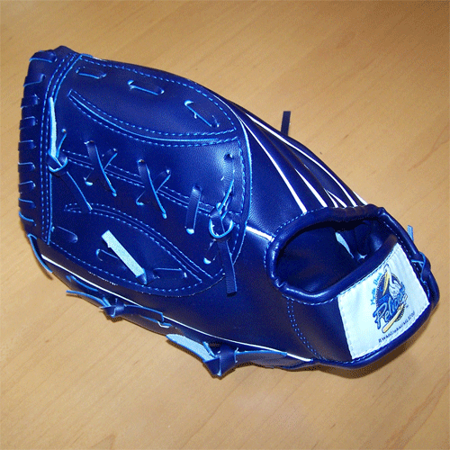 Myrtle Beach Pelicans BWM Fielding Glove Left-Handed Thrower