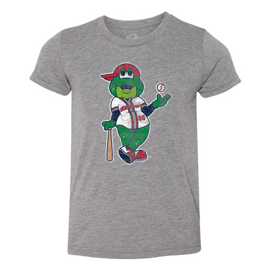 Greenville Drive 108 Stitches Youth Gray Reedy Tee