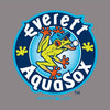 Everett AquaSox Ladies's Zig-Zag Quarter Zip