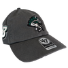 Binghamton Rumble Ponies X Binghamton Bearcats Sure Shot Clean Up Hat