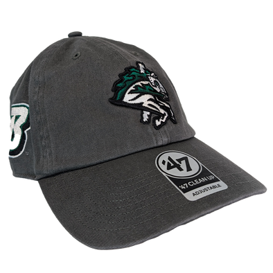 Binghamton Rumble Ponies X Binghamton Bearcats Sure Shot Clean Up Hat