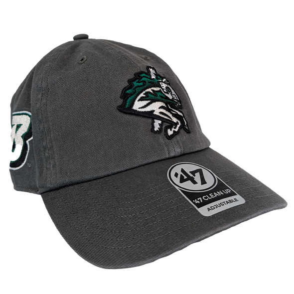 Binghamton Rumble Ponies X Binghamton Bearcats Sure Shot Clean Up Hat
