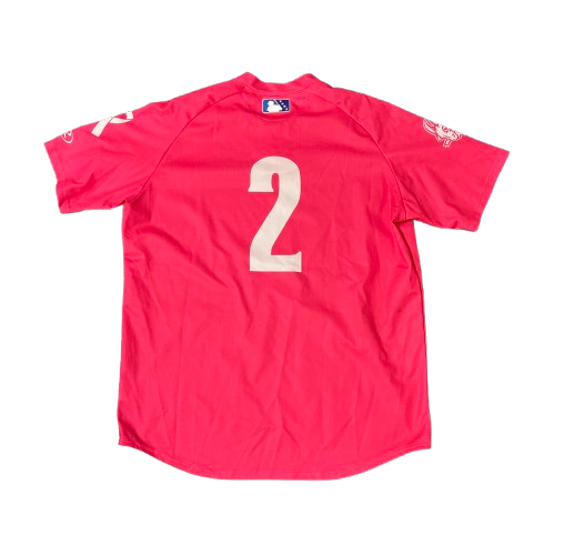 Hartford Yard Goats Game Worn Pink Jersey