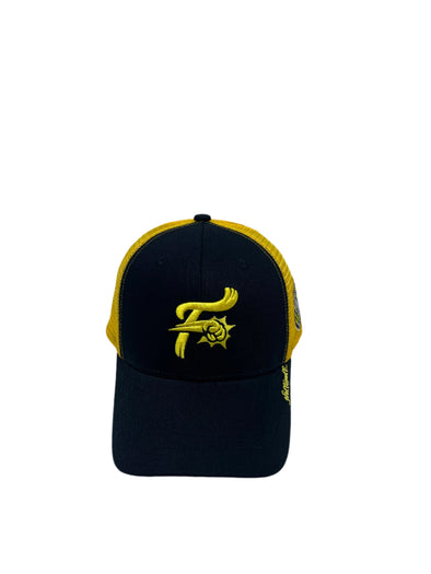 Harry Potter House Hat - Hufflepuff