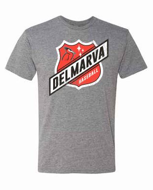 Delmarva Shorebirds 108 Stitches Highway Tee