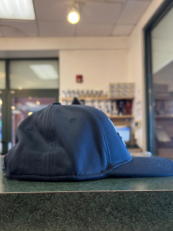 Hudson Valley Renegades Adjustable Cap