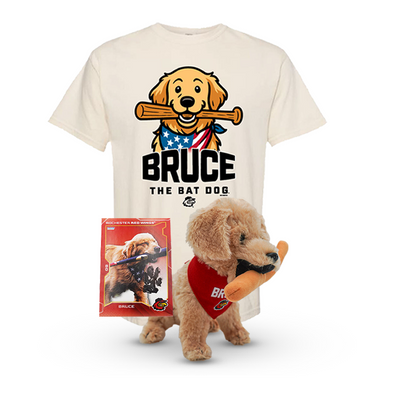Bruce the Bat Dog Starter Pack
