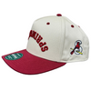 Upside Down Springfield Hat