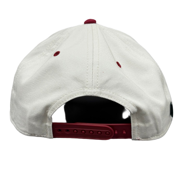 Upside Down Springfield Hat