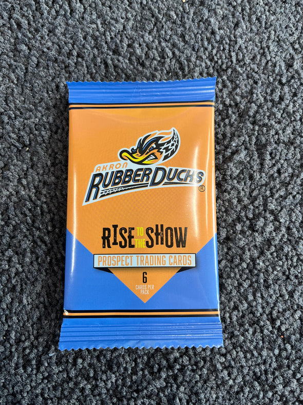 2025 Rise to the Show Update Pack