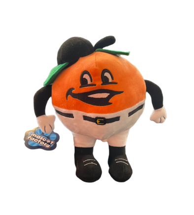 Fuzzy Plush