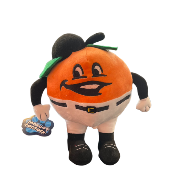 Fuzzy Plush