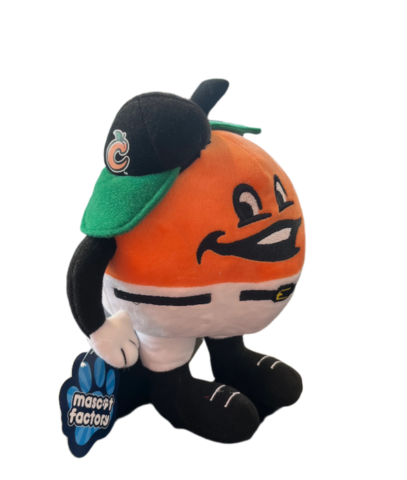 Fuzzy Plush