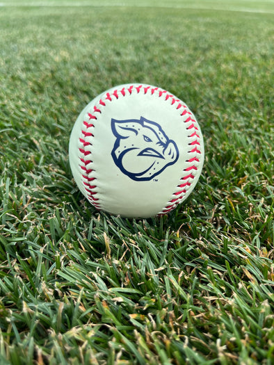 Lehigh Valley IronPigs Glow In The Dark Ball