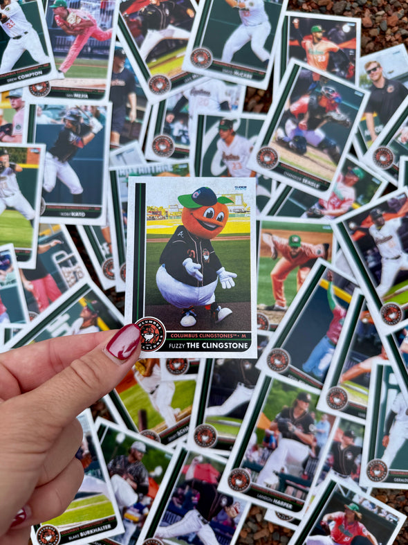 2025 Team Set