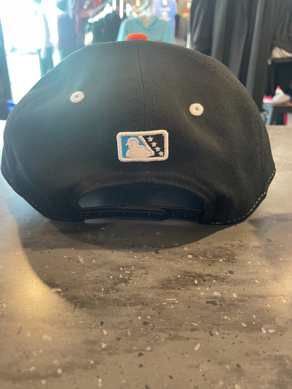 Beloit Sky Carp New Era 9forty M-Crown Snapback Adjustable Caps