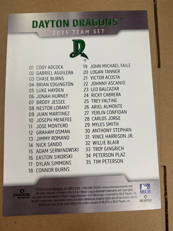 2025 Dayton Dragons Team Set