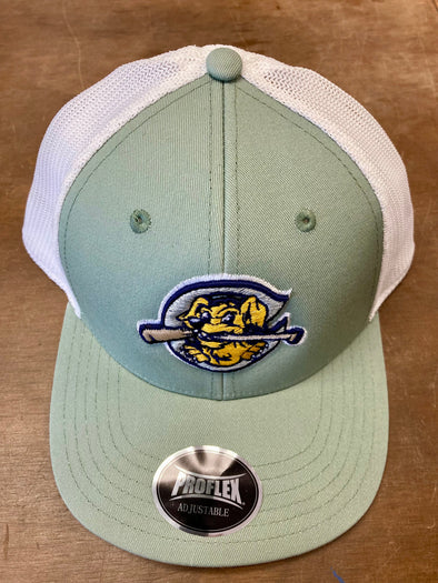 Charleston RiverDogs OC Ranger Sage/White Mesh Cap