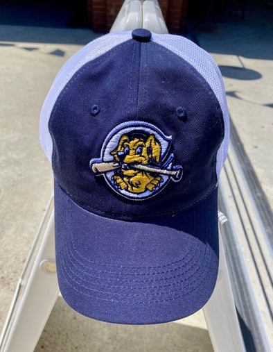 Charleston RiverDogs Navy/White Mesh Cap