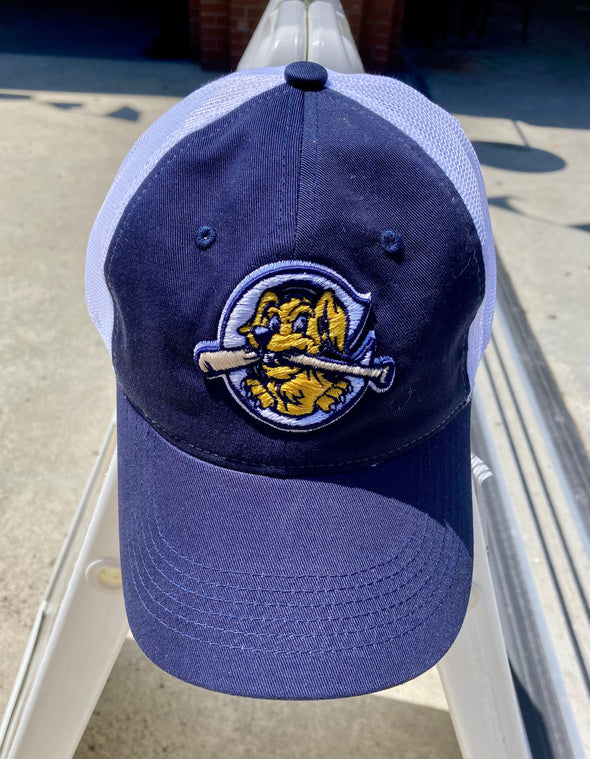 Charleston RiverDogs Navy/White Mesh Cap