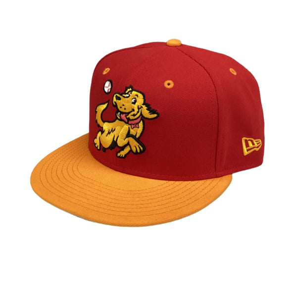 *NEW* Hudson Valley Retrievers Official On-Field 5950 Fitted Cap