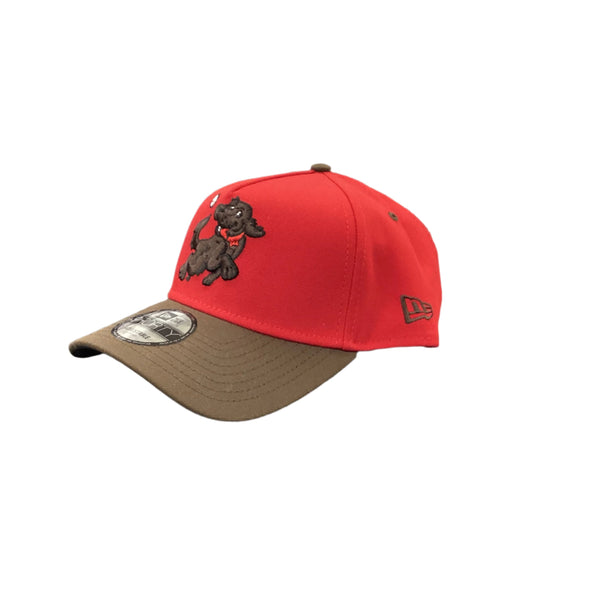 *NEW* HVR HV Retrievers Chocolate Lab New Era 940 Snapback