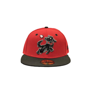 *NEW* Hudson Valley Retrievers Black Labrador New Era 5950 Fitted Cap
