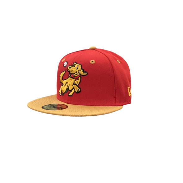 *NEW* Hudson Valley Retrievers Yellow Labrador New Era 5950 Fitted Cap