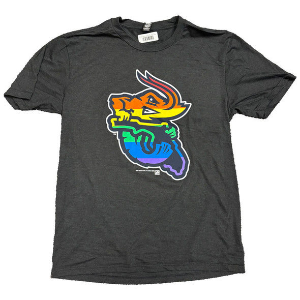 Jacksonville Jumbo Shrimp Florida Logo Pride Tee