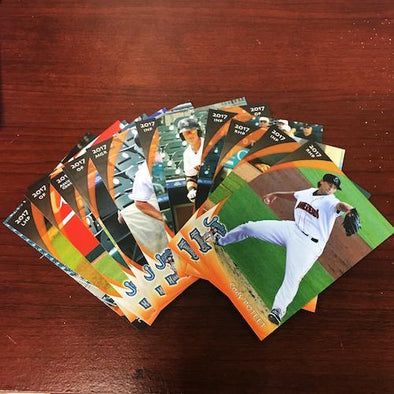 Jupiter Hammerheads 2017 JUPITER HAMMERHEADS TEAM SET