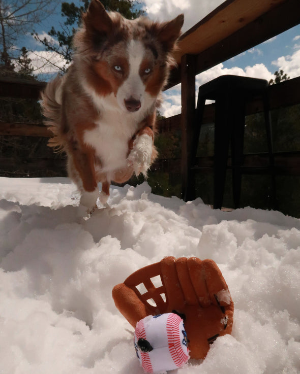 Mitt & Ball Plush Dog Toy