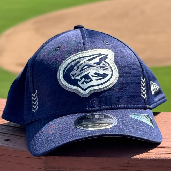 Blue curved brim hat