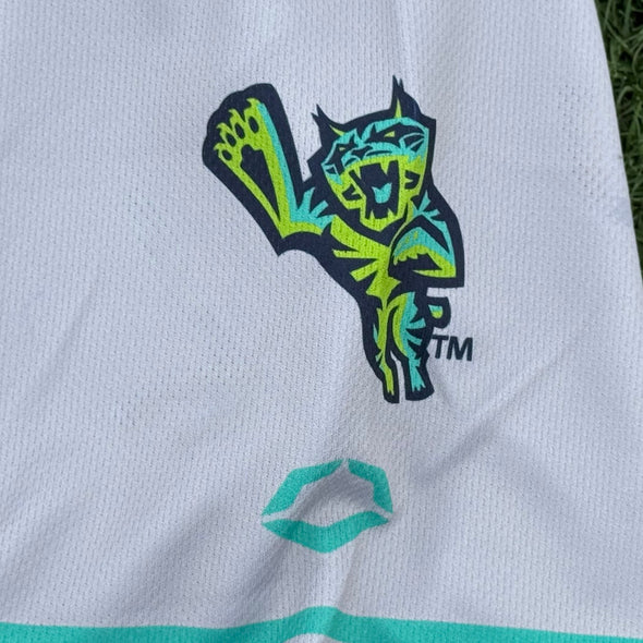 Lynchburg Hillcats Adult Gray Official Team Road Jersey